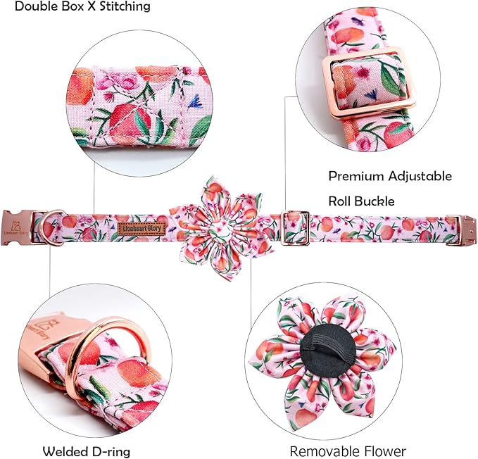 Lionheart Glory Pink Peach Flower Dog Collar - Soft, Durable, Adjustable for Medium Dogs