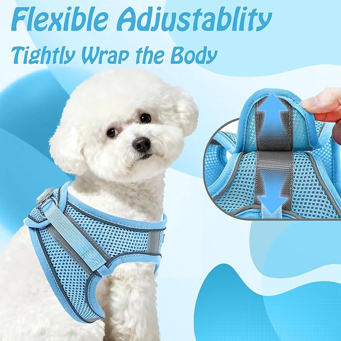 AIITLE Small Harness for Puppy with A Leash - Dog Vest Harness with Super Breathable Mesh, Reflective No-Pull Pet Harness for Outdoor Walking, Running for Small Dogs, Cats Pure Blue XXS