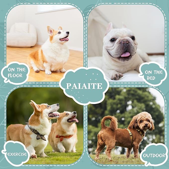 Cozy and Functional Dog Shirts for Small Puppies: Stretchable Green Attire with Easy-On Design, Ideal for Chihuahuas and Yorkies - Enhance Comfort and Playfulness on Chill Days XX-Small