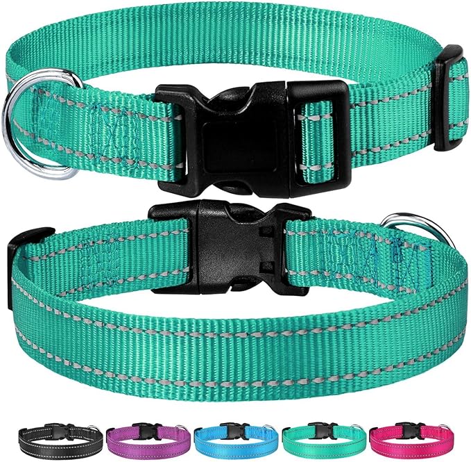Reflective Dog Collar with Buckle Adjustable Safety Nylon Collars for Small Medium Large Dogs, Green L