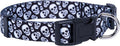 Native Pup Skull Dog Collar for Halloween (Large, Skulls)