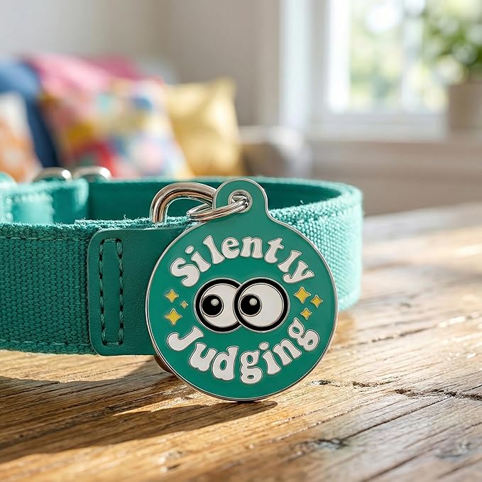 Bad Tags Personalized Dog and Cat ID Tags in 25+ Designs and 2 Sizes - 5 Lines of Custom Engraved Text - Funny Cute Personalized Pet Tags (Silently Judging - Green, Small (1 inch))