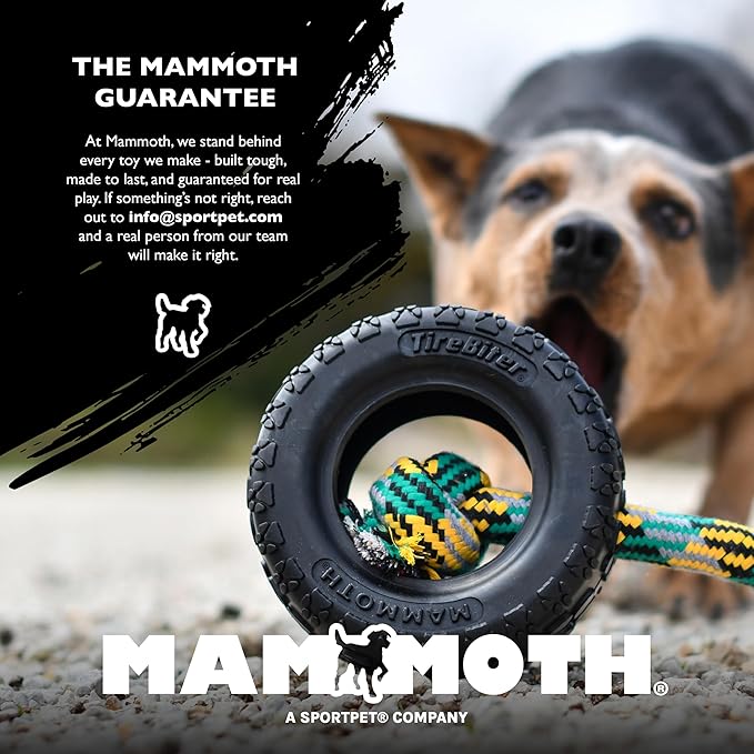 Chew King by Mammoth Premium Treat Dog Toy, Extremely Durable Natural Rubber Toy, Bacon Flavored Dog Treater, Medium - Orange