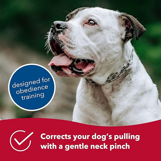 Herm Sprenger Ultra-Plus Prong Dog Training Collar, 2.25 mm x 13" Neck Size, 2.25 mm, Steel Chrome Plated Dog Prong Collar, Pinch Collar for Dogs, Dog Correction Collar