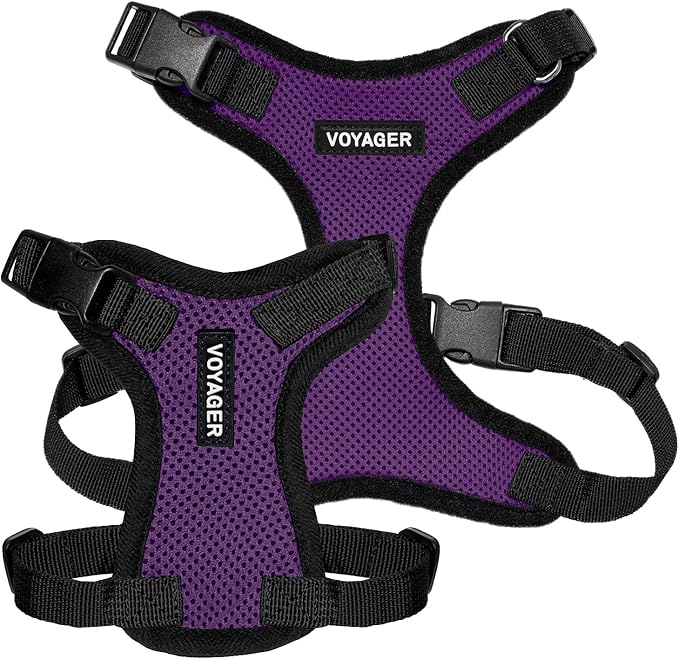 Voyager Step-in Pet Harness - All Weather Mesh, Adjustable Step in Harness for Cats and Dogs by Best Pet Supplies - Purple/Black Trim, L