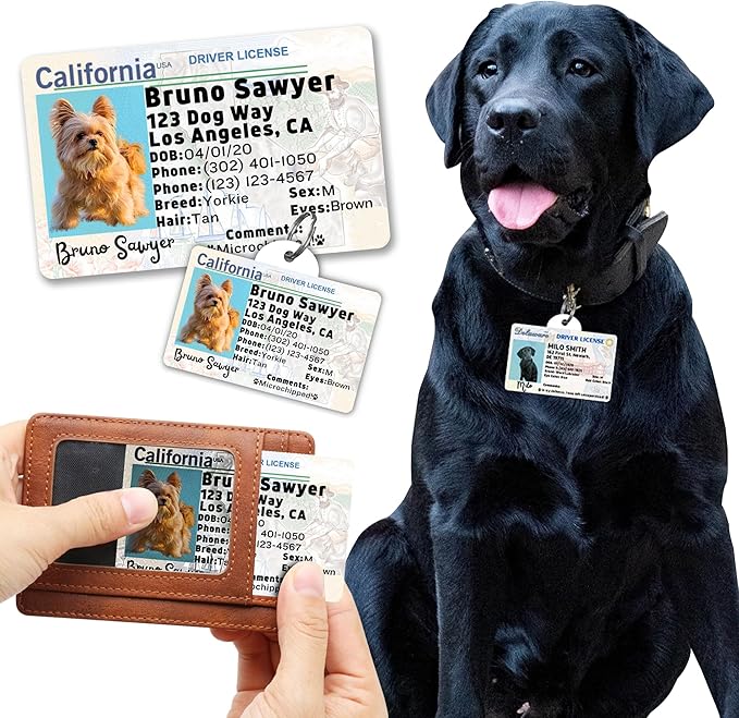 PawFurEver Personalized Dog Driver License ID Tag for Dogs & Cats - Custom Pet License Dog ID Tags Personalized Heavy Duty with Name, Photo & Phone Number, 50 States + DC (Washington, Wallet Card)