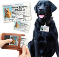 PawFurEver Personalized Dog Driver License ID Tag for Dogs & Cats - Custom Pet License Dog ID Tags Personalized Heavy Duty with Name, Photo & Phone Number, 50 States + DC (Delaware, Wallet Card)