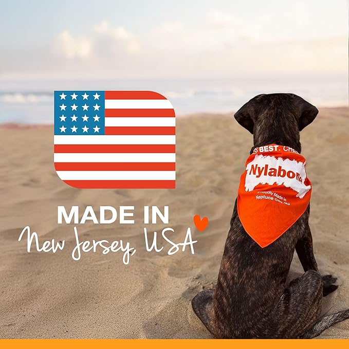 Nylabone Original Bone Power Chew Toy for Dogs, Durable & Tough Dog Toys for Aggressive Chewers, Original Flavor, Small - Up to 25 Ibs, 1 Count