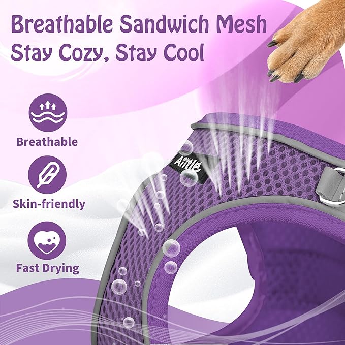 AIITLE Dog Harness, No-Pull Cat Harness with a Leash, Adjustable Reflective Dog Vest, Cat Harness Escape Proof, Outdoor Walking, Running,Training for Extra Small Dogs and House Cats Pure Purple XXXS