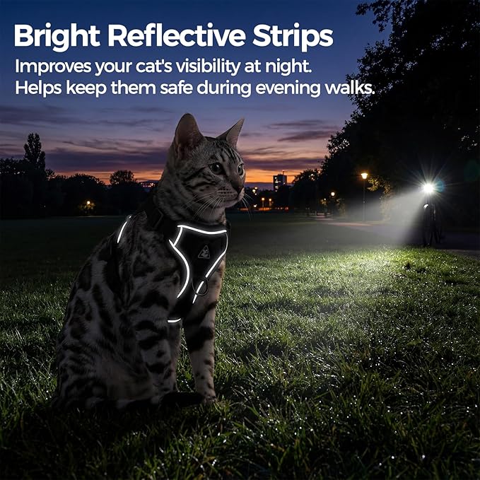 Cat Harness and Leash Set Escape Proof Tactical Extra Large Kitten Harness Emotional Support Cat Vest, Turquoise, XL