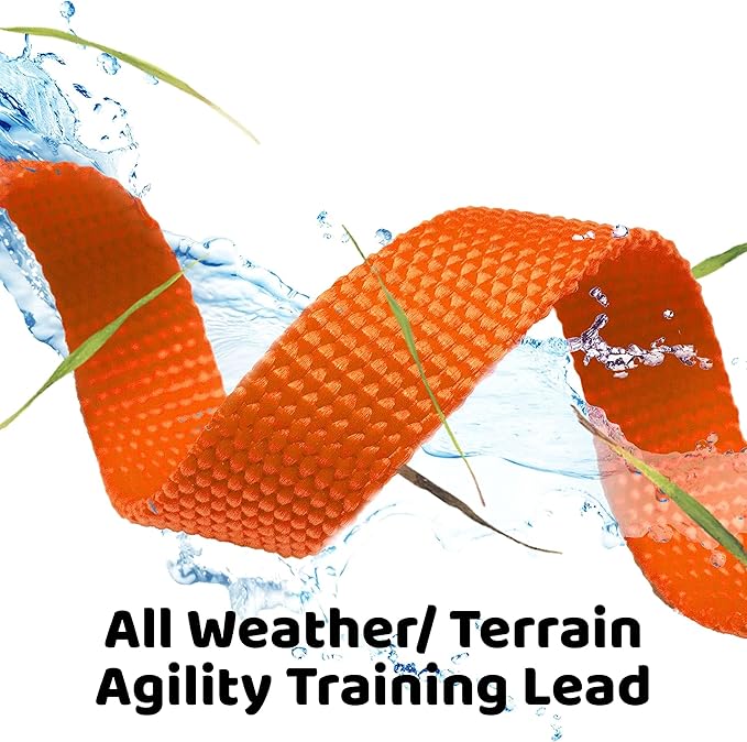 Long Dog Puppy Obedience Recall Training Agility Lead, Leash - ORANGE, 20' Foot - by, Downtown Pet Supply