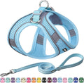 AIITLE Comfortable Dog Harness and Leash Set for Walking - Step in Vest Harness,Reflective Bands, Adjustable No Pull Puppy Essentials, for Small Dogs and House Cats Pure Blue XS