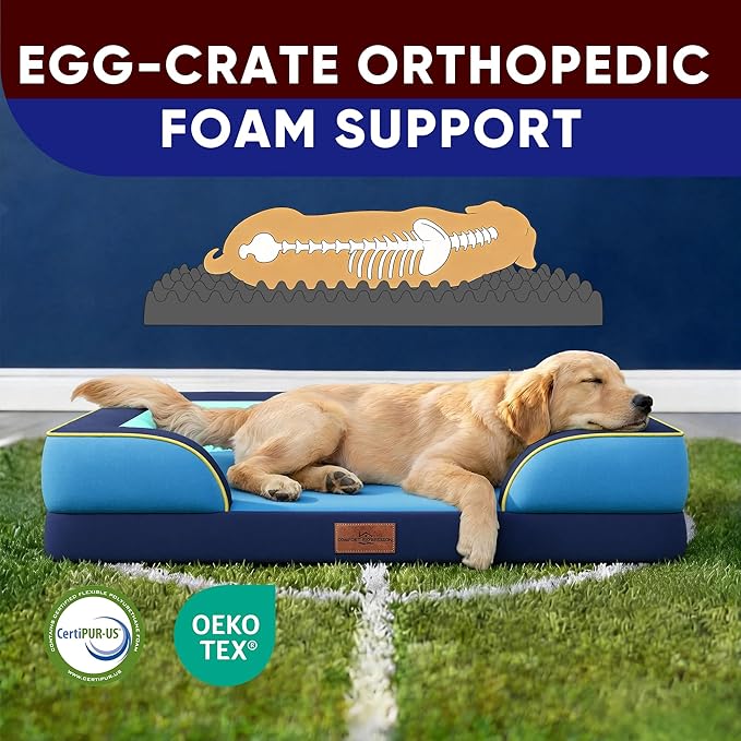 Comfort Expression Orthopedic Dog Bed for Large Dogs 36x27 Inch, Waterproof Egg Crate Foam Large Pet Bed with Removable Bolsters, Dog Couch with Washable Cover & Non-Slip Bottom, New Jersey
