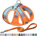 AIITLE Comfortable Dog Harness and Leash Set for Walking - Step in Vest Harness,Reflective Bands, Adjustable No Pull Puppy Essentials, for Small Dogs and House Cats Orange XS