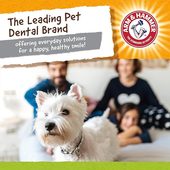 ARM & HAMMER for Pets Nubbies Duality Bone Dental Dog Toy- Best Dog Chew Toy for Moderate Chewers- Dog Dental Toy Helps Reduce Plaque & Tartar- Green Apple Flavor Baking Soda (Pack of 8)