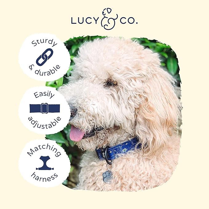 Lucy & Co. Space Doodle Dog Collar - Durable Lightweight Designer Collar for Pets - Adjustable Metal Safety Buckle - Navy Outerspace Icons - Large