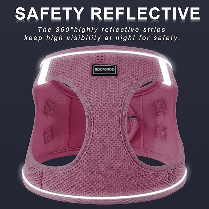 Dog Harness with Leash Set, No Pull Adjustable Reflective Step-in Puppy Pet Vest Harnesses for Small Medium Large Dogs and Cats,Cranberry L