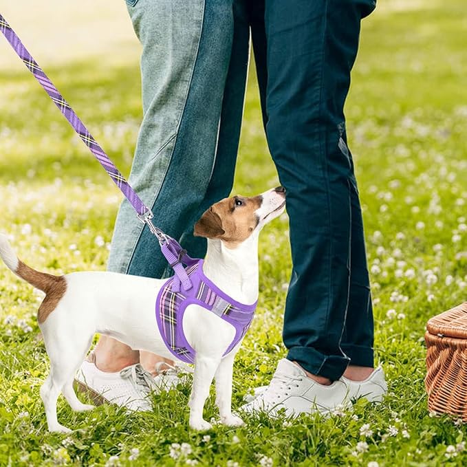 PUPTECK Adjustable Dog Harness Collar and Leash Set Step in No Pull Pet Harness for Small Medium Dogs Puppy and Cats Outdoor Walking Running, Soft Mesh Padded Reflective Vest Harnesses, Purple XXS