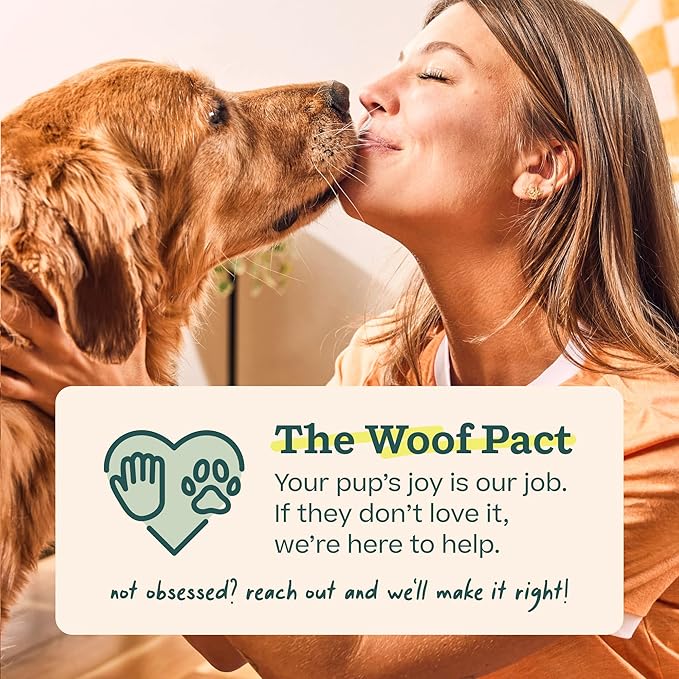 WOOF Pupsicle Refill Pops, Delicious Long Lasting Dog Treats, Pre-Made Pupsicle Refills for Dogs, Wholesome Ingredients, Low-Mess Beef Pet Treats - XL Pops - 5 Count - 3 Pack