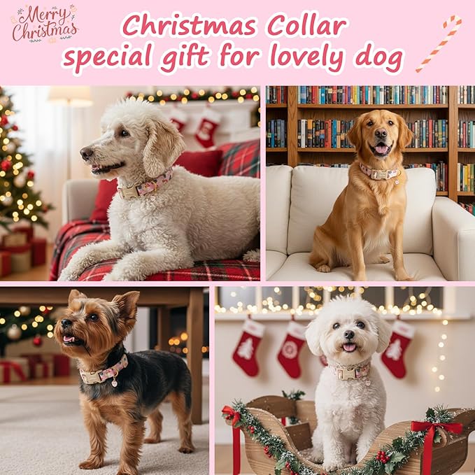 Christmas Dog Collar for Small Dogs, Adjustable Poly-Cotton Fabric Collar with Santa Pattern, Cute Pink Dog Collar for Dogs, Medium Dog Collars Girls Dog Collars