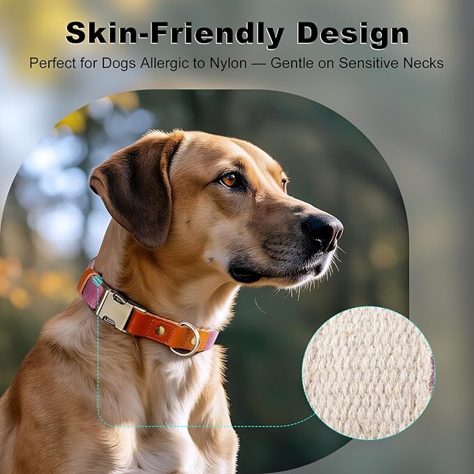 Plutus Pet Genuine Leather & Hemp Dog Collar – Adjustable Heavy Duty Pet Collar with Quick Release Metal Buckle, Soft & Stylish for Puppy and Small, Medium, Large Dogs (Purple, M)