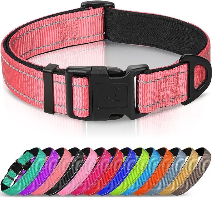 Joytale Reflective Dog Collar, Soft Neoprene Padded, Metal D-Ring, Nylon Pet Collar Adjustable for Large Dogs, Neon Pink, L