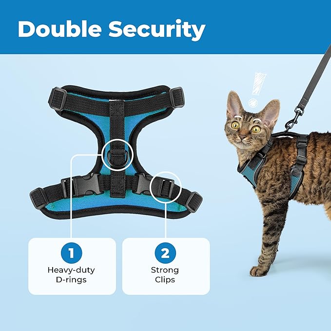 Voyager Escape-Proof Step-in Lock Cat Harness & 5ft Neoprene-Handle Leash Set All-Weather Mesh with Reflective Stitching for Small to Large Cats by Best Pet Supplies, Black Trim-Turquoise (327), XXS
