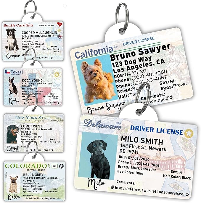 PawFurEver Personalized Dog Driver License ID Tag for Dogs & Cats - Custom Pet License Dog ID Tags Personalized Heavy Duty with Name, Photo & Phone Number, 50 States + DC (Maryland, Tag)