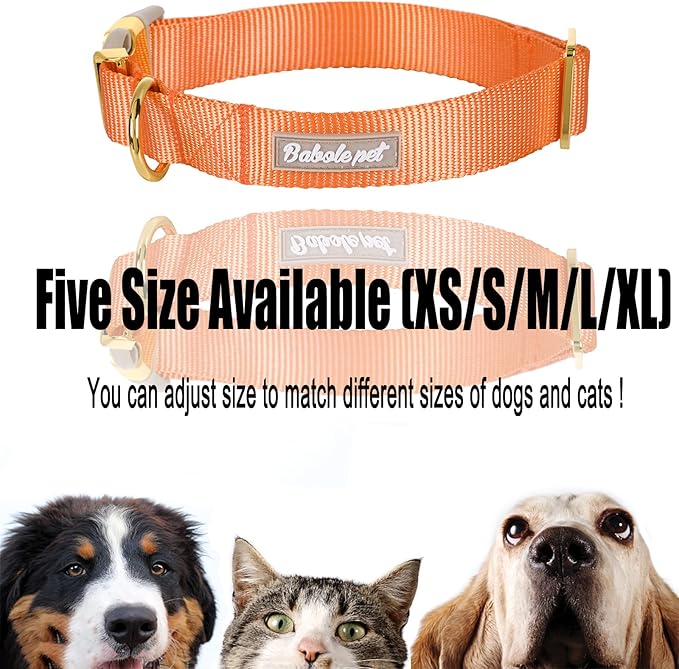 Nylon Dog Collar - Adjustable Orange Soft Webbing Dog Collars for Small Medium Large Dogs Boy Girl Puppy Collar with Safety Metal Buckle M