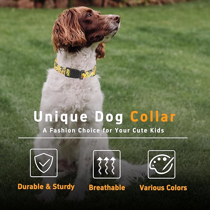Puppy Collar for Small, Medium, Large Dogs - Soft Floral Pattern with Safety Buckle for Boys, Girls
