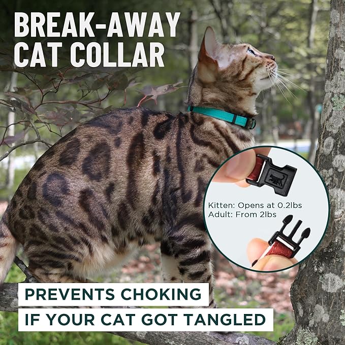 OutdoorBengal Blue Breakaway Kitten Collar - Ultra Safe Quick Release Cat Collar for Small Kittens Under 6 Months – Soft-Padded, Lightweight, Adjustable, Thin and Comfortable, No Bell (Blue, Kitten)