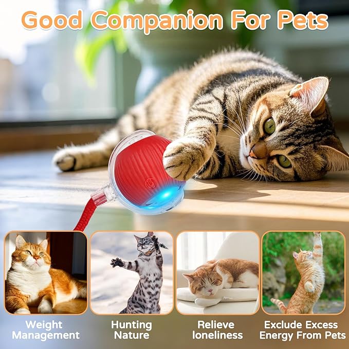 2025 New 3Pack Cat Ball Kitten Toys for Indoor Interactive Kitty Ball Toy Speedy Tail 360° Automatic Rolling(Red Grey Green)