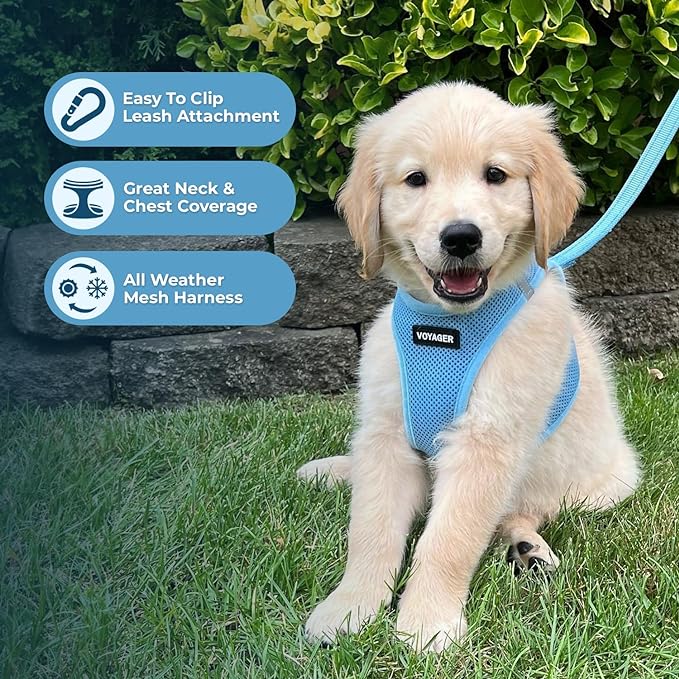 Best Pet Supplies Voyager Step-in Air Harness - All Weather Mesh, Reflective, No Pull Harness for Dogs, Cats - Secure with Hook & Loop Fastener, Buckle, Double D-Rings - Baby Blue, L