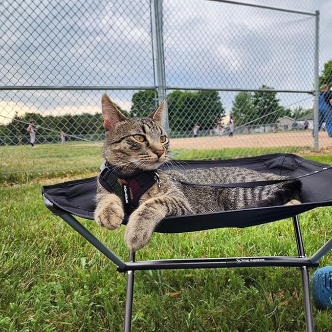 Voyager Escape-Proof Step-in Lock Cat Harness & 5ft Neoprene-Handle Leash Set All-Weather Mesh with Reflective Stitching for Small to Large Cats by Best Pet Supplies, Army/Black Trim, XXXS