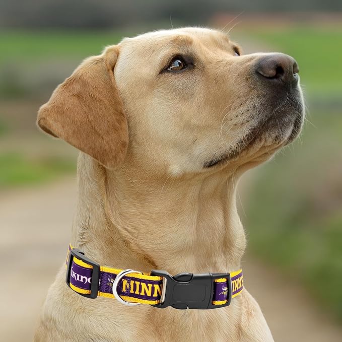 Pets First NFL Minnesota Twins Licensed PET COLLAR, Small - Heavy-Duty, Strong, and Durable Dog Collar. Available in 31 Football Teams and 4 Sizes