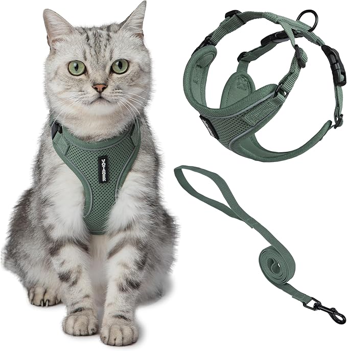 Voyager Escape-Proof Step-in Lock Cat Harness & 5ft Neoprene-Handle Leash Set All-Weather Mesh with Reflective Stitching for Small to Large Cats by Best Pet Supplies, Moss Green (327), XXS