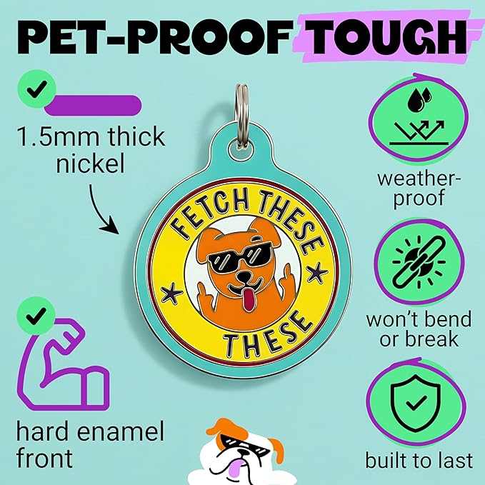Bad Tags Personalized Dog and Cat ID Tags in 25+ Designs and 2 Sizes - 5 Lines of Custom Engraved Text - Funny Cute Personalized Pet Tags (Fetch These, Large (1.25 inch))