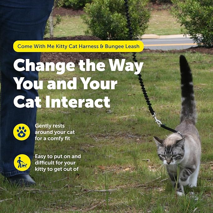 PetSafe Come With Me Kitty Cat Harness & Bungee Leash - Comfortable Cat Harness with Lightweight Bungee Leash for Outdoor Fun - More Secure Walks - Medium - Lilac