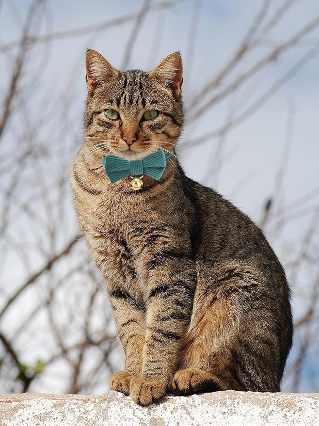 2 Pack Soft Corduroy Christmas Cat Collars with Bow Tie & Bell, Adjustable Breakaway Cotton Kitty Bowtie Collar for Girl Boy Kitten (Red & Green)