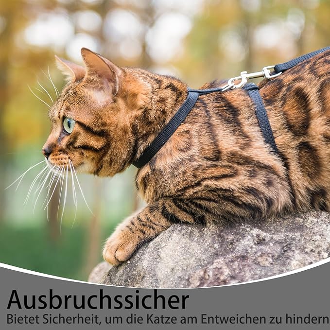 PUPTECK Adjustable Cat Harness and Leash Set Escape Proof Kitten Strap Collar for Walking Travel, Black, M
