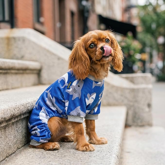 Fitwarm Shark Dog Pajamas, Dog Clothes for Small Dogs Girl Boy, Pet Onesie with Feet, Cat Outfit, Lightweight Velvet, Royal Blue, Large