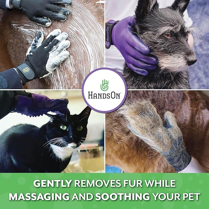 H Handson Pet Grooming Gloves - Patented #1 Ranked, Award Winning Shedding, Bathing, & Hair Remover Gloves - Gentle Brush for Cats, Dogs, and Horses (Purple, Small)