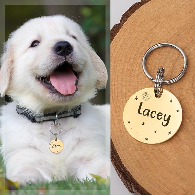 Anavia Small Size Dog Cat ID Tags, Small/XS Personalized Color Plated Stainless Steel Puppy Kitten Name Tags, Customized Engraved Nameplate Pet Collar Tag (Purple, Round)