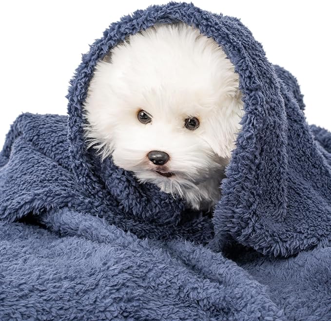 2 Blankets, Dog Cat Pet Blanket, Soft Warm Fleece, for Puppy, Small Dogs or Kitten, Cats, Plush Fuzzy Blanket for Bed, Sofa, Travel (40" x 32", 2/Pack, Dark Gray+Navy Blue)