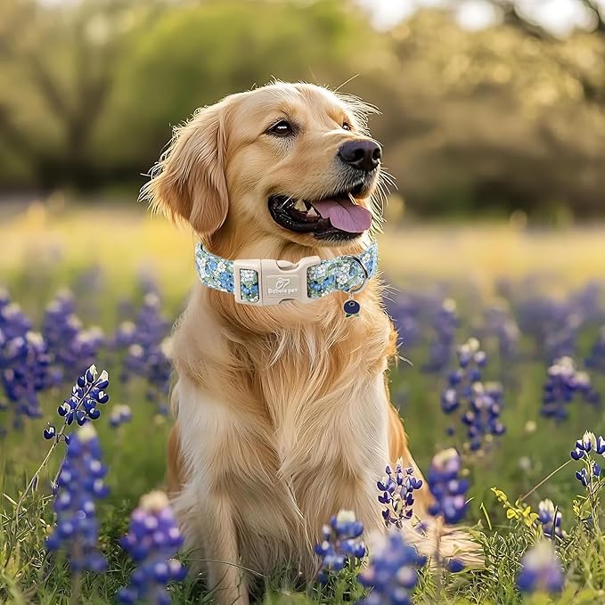 Blueberry Pattern Dog Collar, Cute Light Blue Spring Summer Puppy Collar - Soft Adjustable Designer Dog Collars for Small Medium Large Dogs S