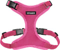 Voyager Step-in Pet Harness - All Weather Mesh, Adjustable Step in Harness for Cats and Dogs by Best Pet Supplies - Fuchsia, M