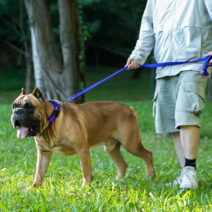 EXCELLENT ELITE SPANKER Reflective Dog Collar Classic Soft Padded Breathable Nylon Adjustable Pet Collar with Quick Release Buckle for Boy Girl Male Female Small Medium Large Dogs Training(Blue-XL)