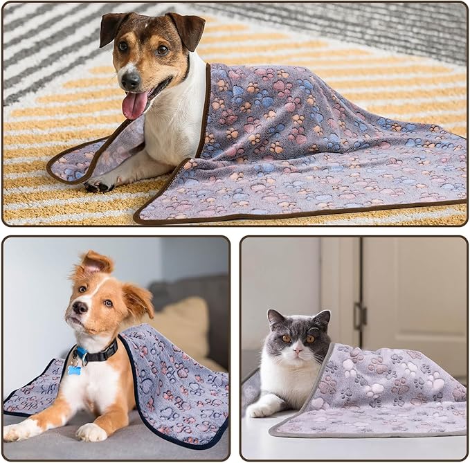 Dono 1 Pack 3 Dog Blankets for Small Dogs, Soft Fluffy Paw Print Pattern Fleece Pet Blanket Warm Sleep Mat, Puppy Kitten Blanket Doggy Mat for Dog Cat Kitten Doggy -23 * 16in (L(41 * 31"), Bone-2)