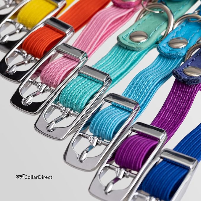 CollarDirect Leather Cat Collar, Cat Safety Collar with Elastic Strap, Kitten Collar for Cat with Bell Black Blue Red Orange Lime Green (Neck Fit 8"-11", Mint Green)