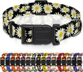 Dog Collar, Daisy Boys Girls Puppy Collar for Small Medium Large Dogs, Adjustable Soft Floral Pet Collar with Safety Buckle for Male Females(Black Daisy,M)